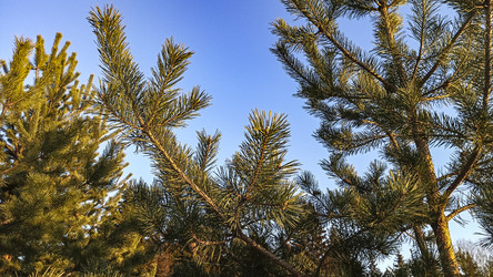 Similar image 22582279