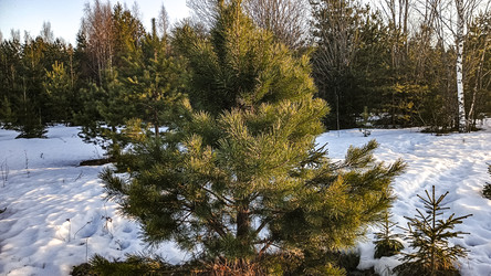 Similar image 22582280