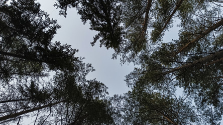 Similar image 22582281