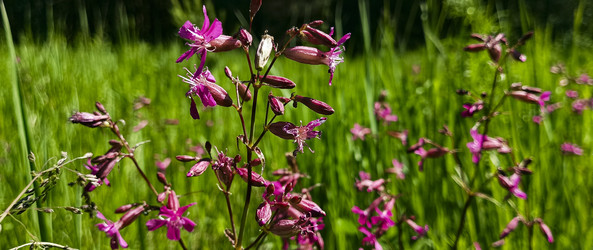 Similar image 22582282