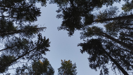 Similar image 22582283