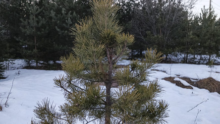 Similar image 22582284