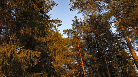 Similar image 22582285