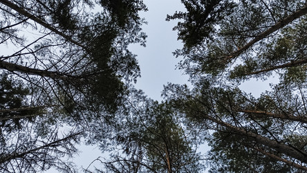 Similar image 22582286