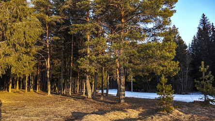 Similar image 22582287