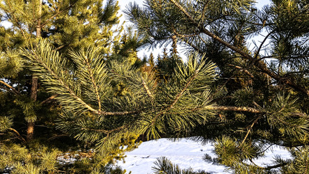 Similar image 22582291