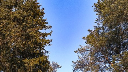 Similar image 22582292