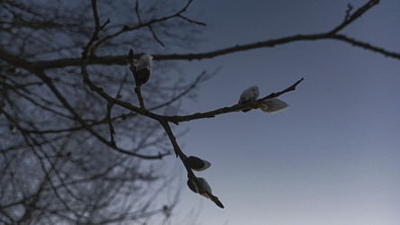 Similar image 22582294