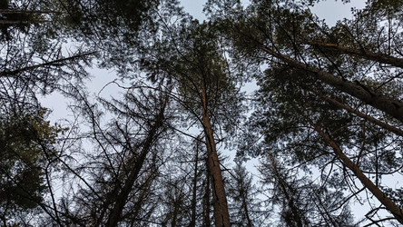 Similar image 22582295