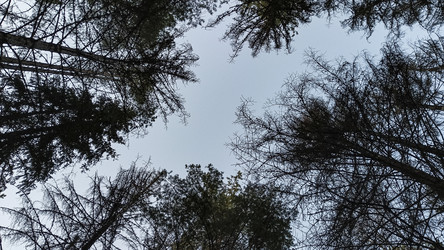 Similar image 22582296