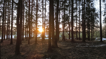 Similar image 22582297