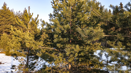 Similar image 22582139