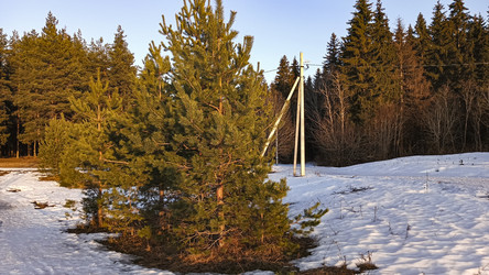 Similar image 22582140