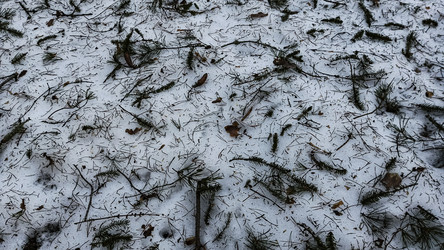 Similar image 22582141