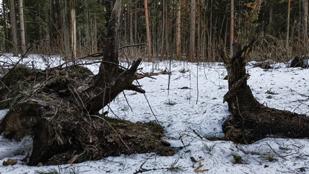 Similar image 22582142