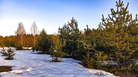 Similar image 22582143