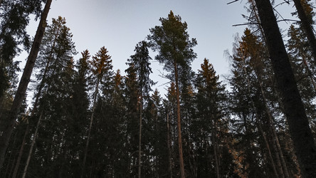 Similar image 22582144