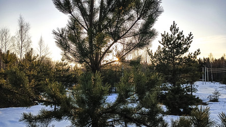 Similar image 22582145