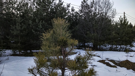 Similar image 22582146