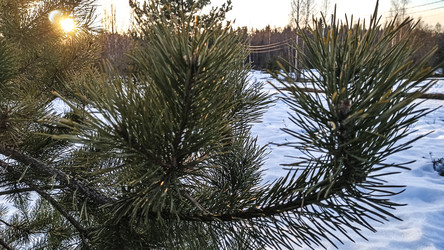 Similar image 22582148