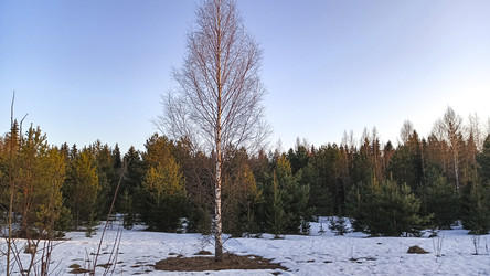 Similar image 22582149