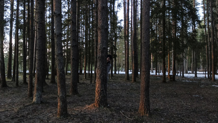 Similar image 22582150