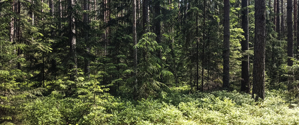 Similar image 22582160