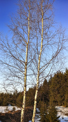 Similar image 22582161