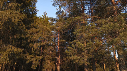 Similar image 22582162