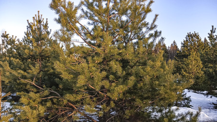 Similar image 22582163