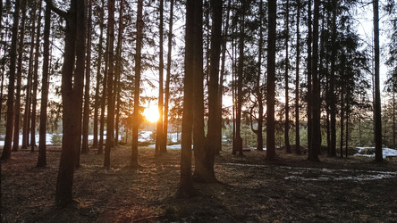 Similar image 22582164