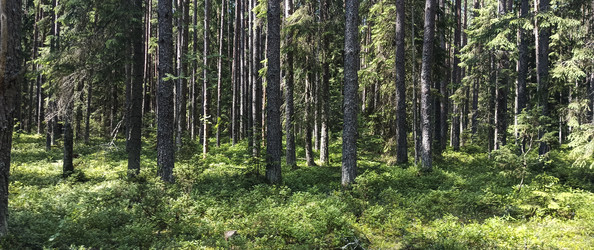 Similar image 22582166