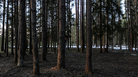 Similar image 22582167