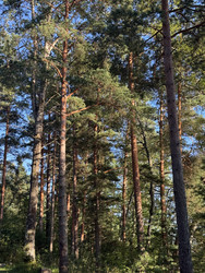 Similar image 22577583