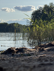 Similar image 22577585