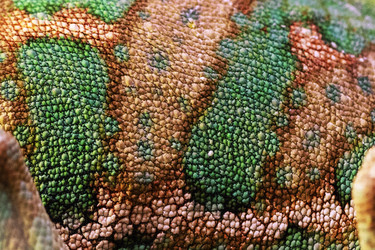 Similar image 22590447