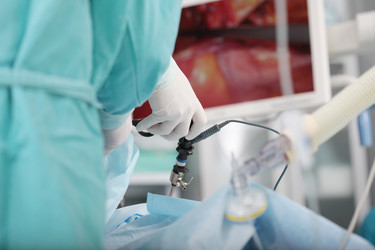 Similar image 22590451