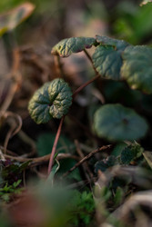 Similar image 22580172