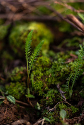 Similar image 22580173