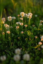 Similar image 22580174