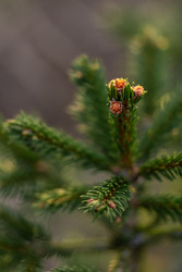 Similar image 22580175