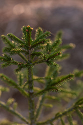 Similar image 22580176