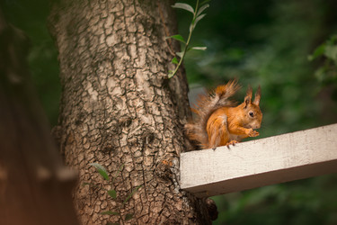 Similar image 22580177