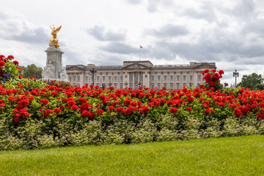 Similar image 22582909