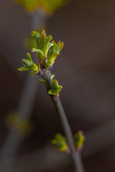 Similar image 22580178