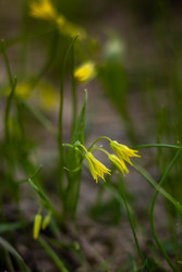 Similar image 22580179