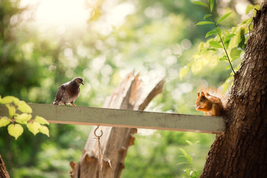 Similar image 22580180