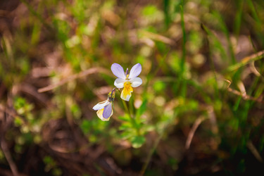 Similar image 22580181