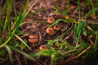 Similar image 22580182