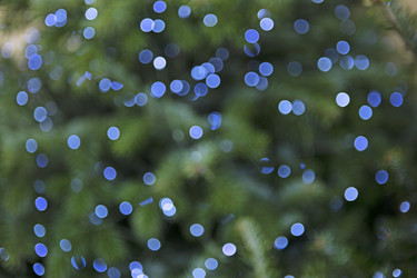 Similar image 22590371